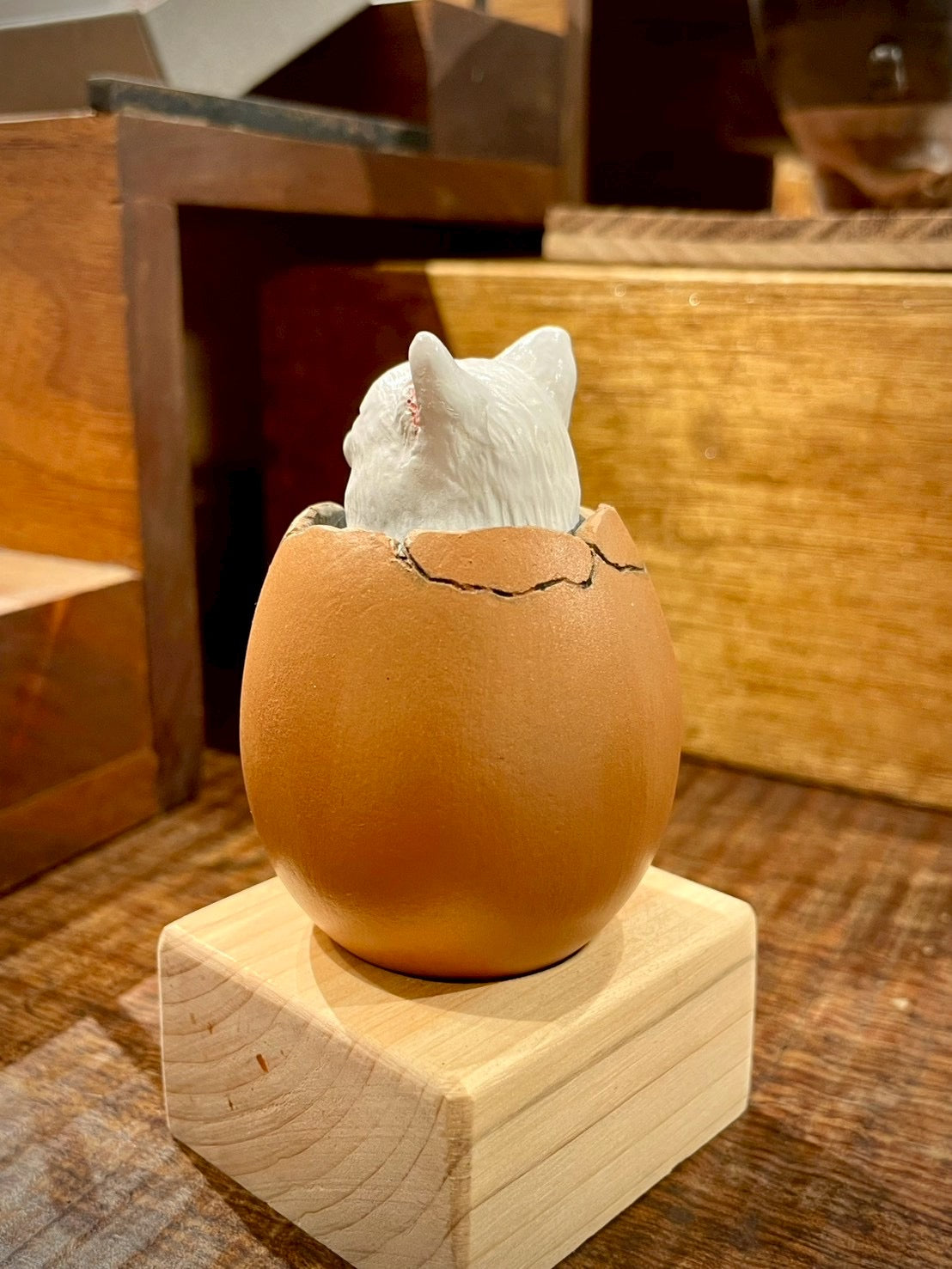 matamata