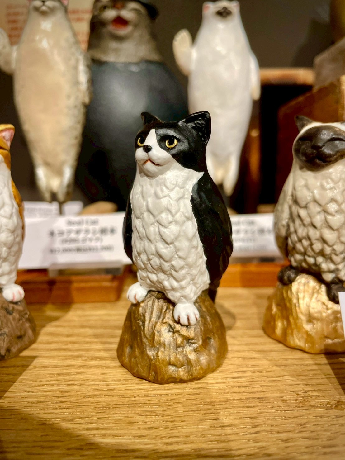 ネコミミズク(ハチワレ)Owl Cat