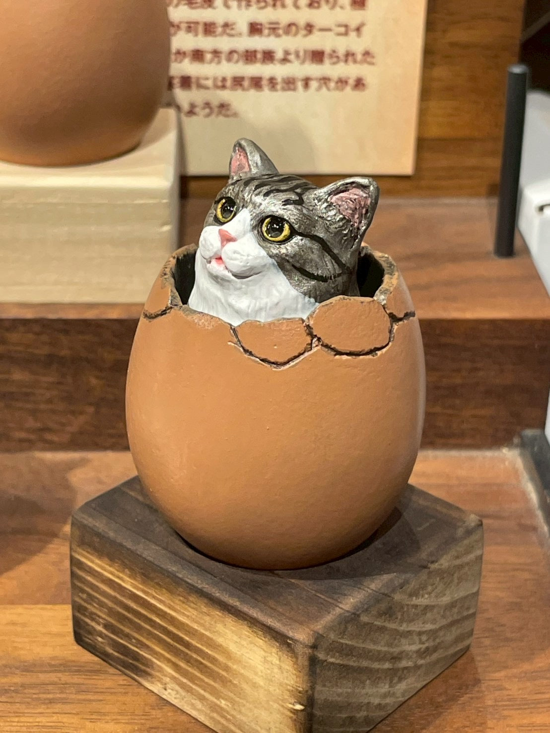 ひょこっとタマゴネコ(キジ白)Hatching Cat