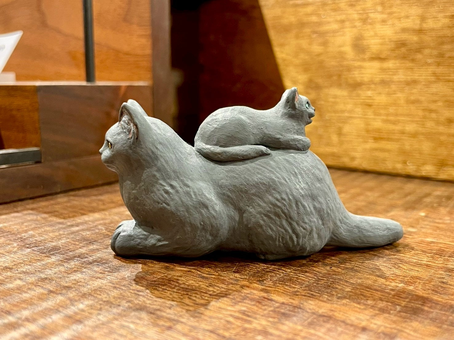 ロシアンブルーの親子(喧嘩中)Parent and Kitten