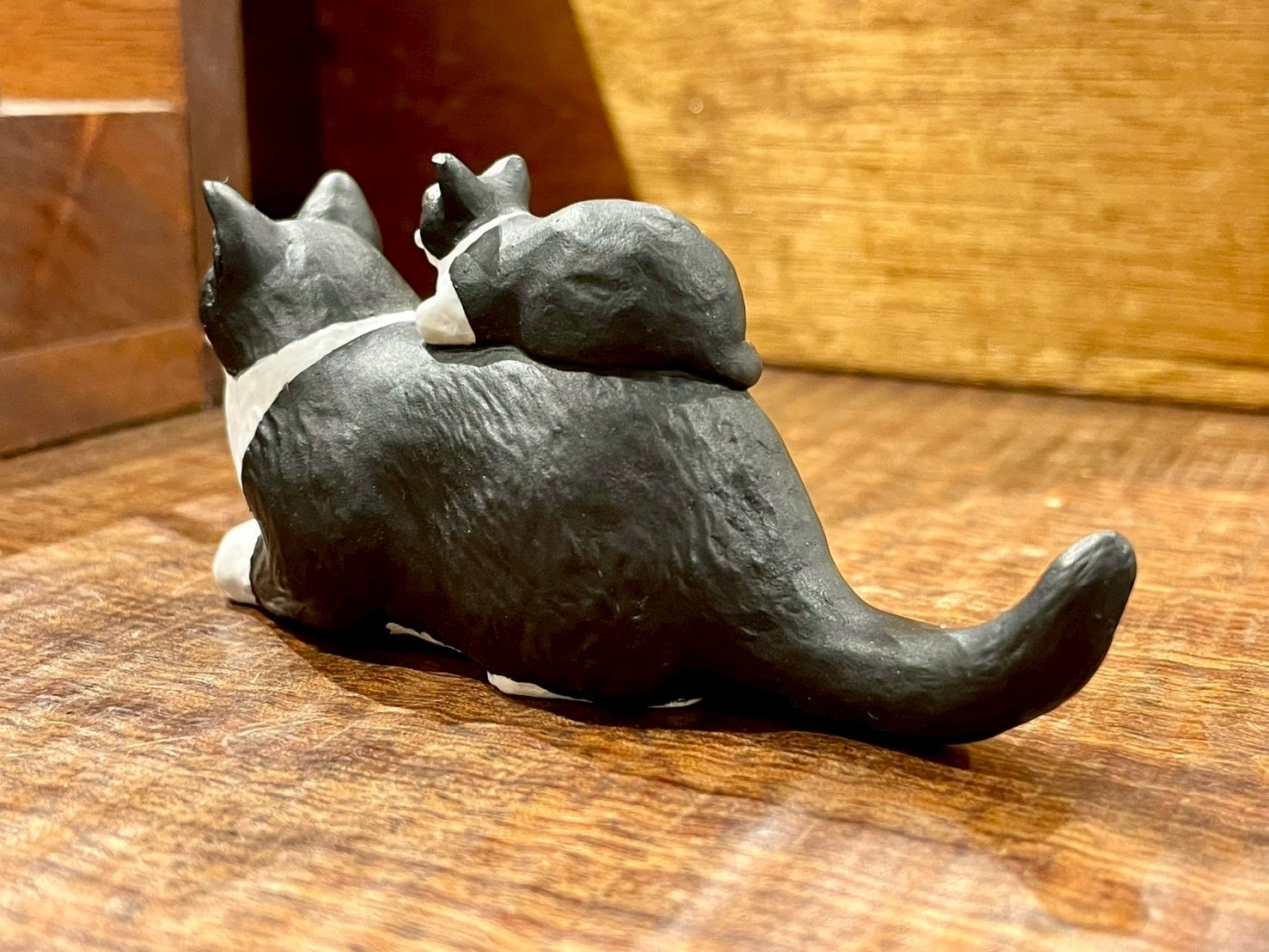 ハチワレの親子（Parent and Kitten）