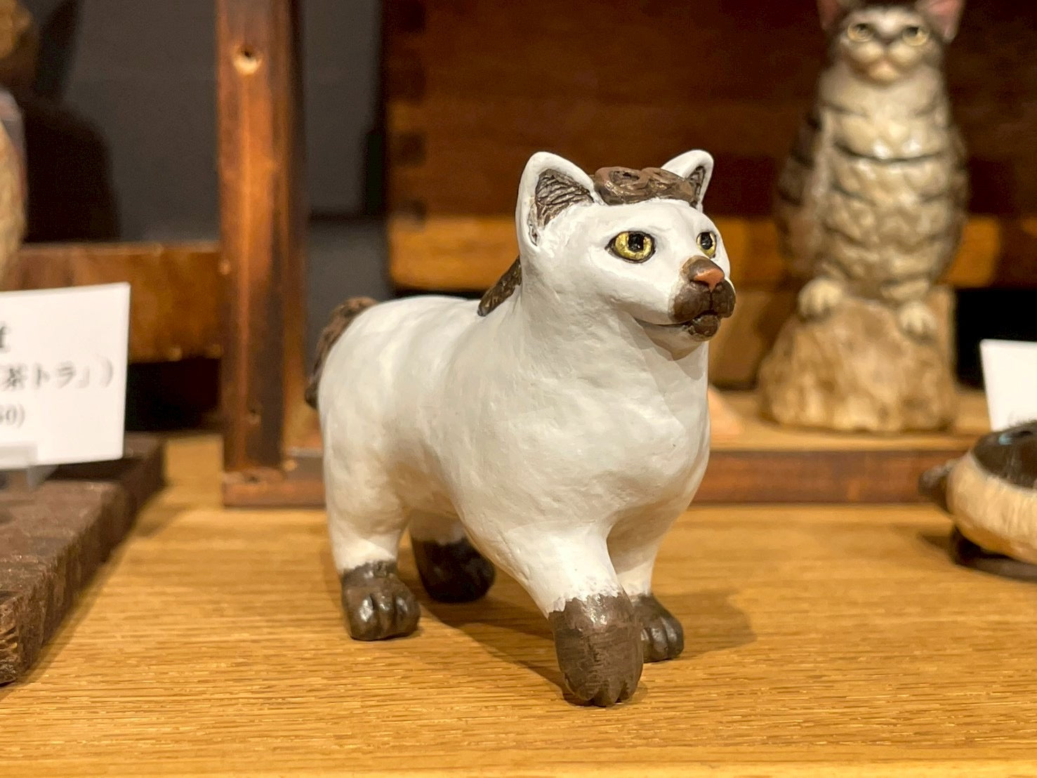 旅猫屋 – matamata