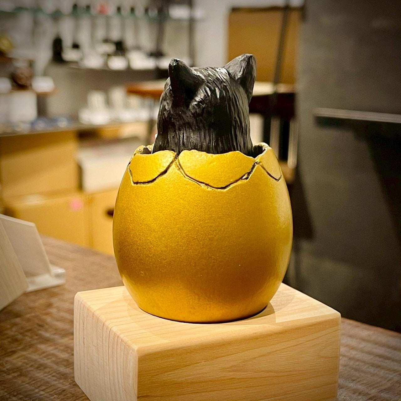 サブちゃん誕生/Hatching Cat