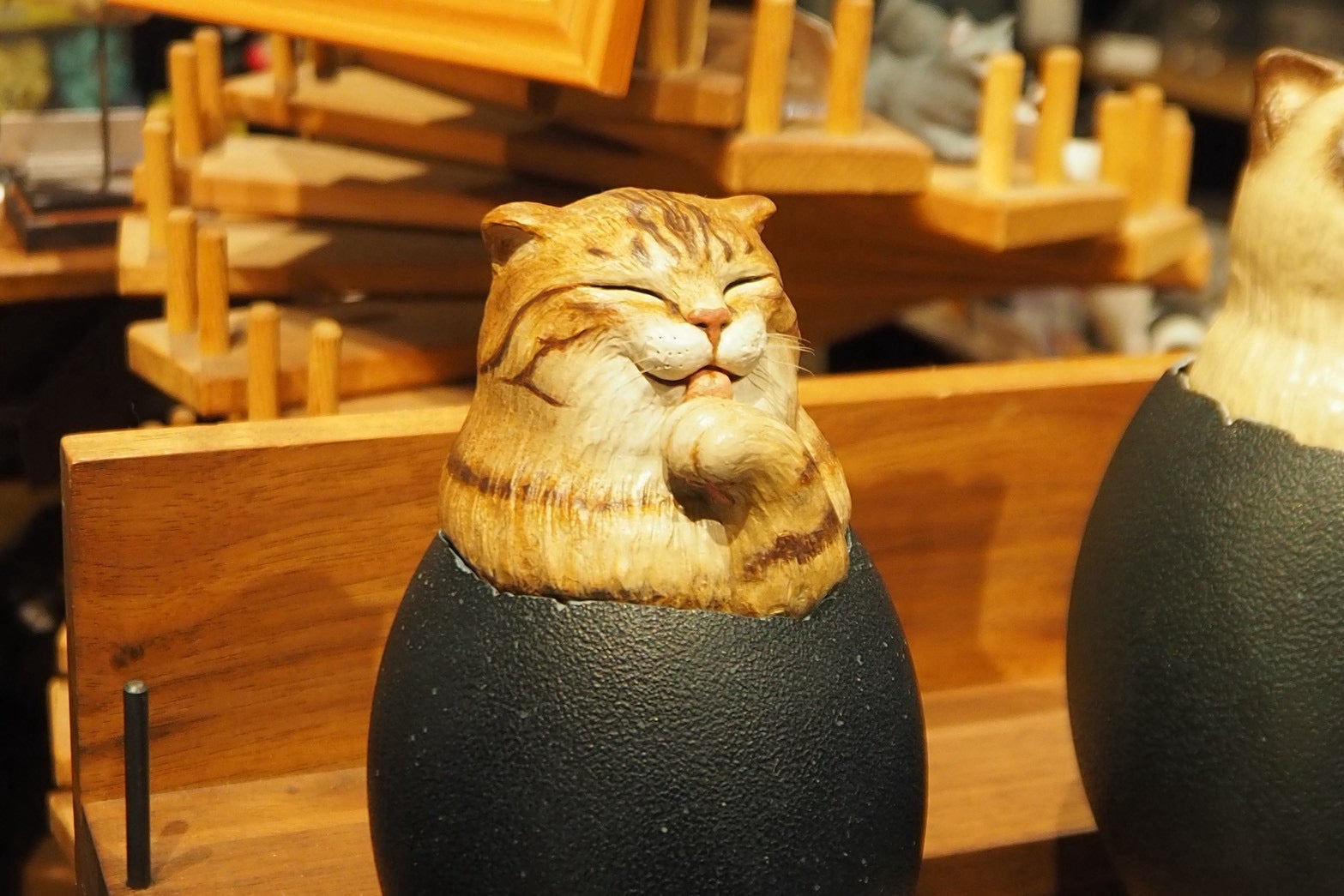 Hatching Cat ~茶トラ猫の誕生~