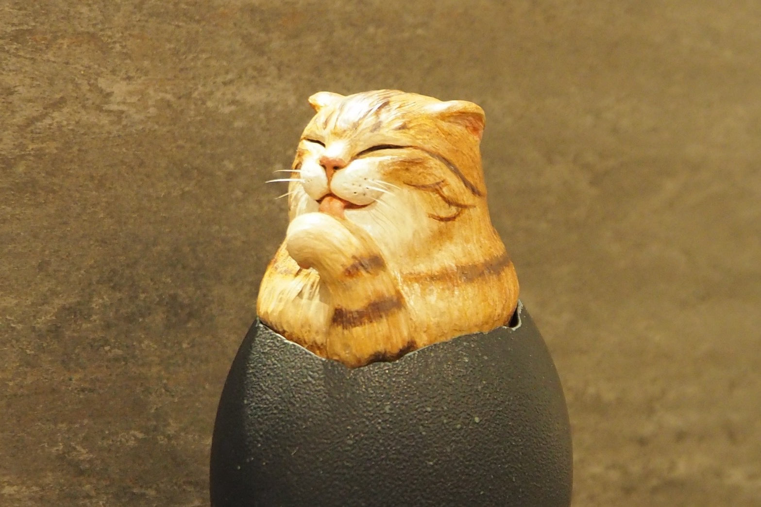 Hatching Cat ~茶トラ猫の誕生~