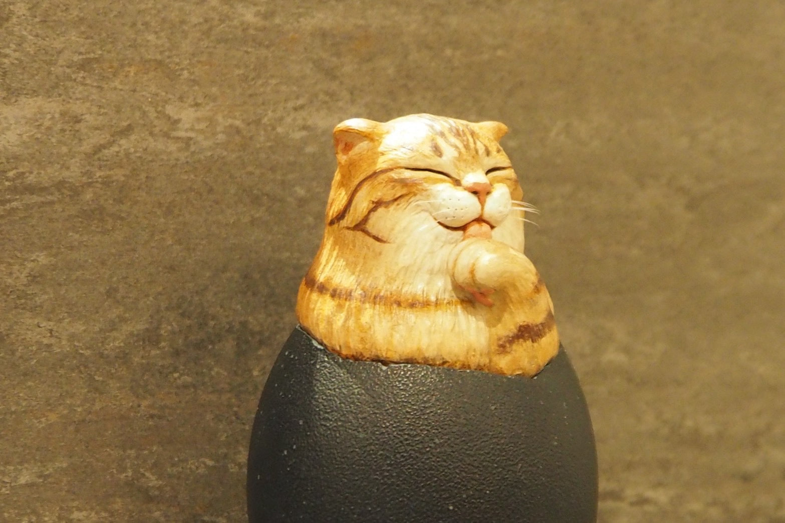 Hatching Cat ~茶トラ猫の誕生~