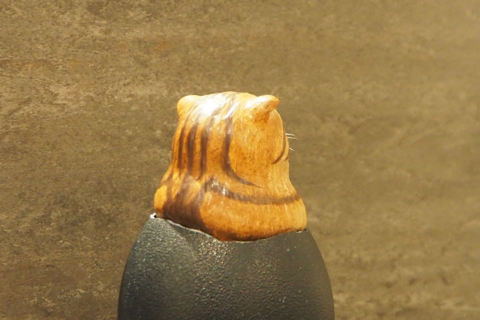 Hatching Cat ~茶トラ猫の誕生~