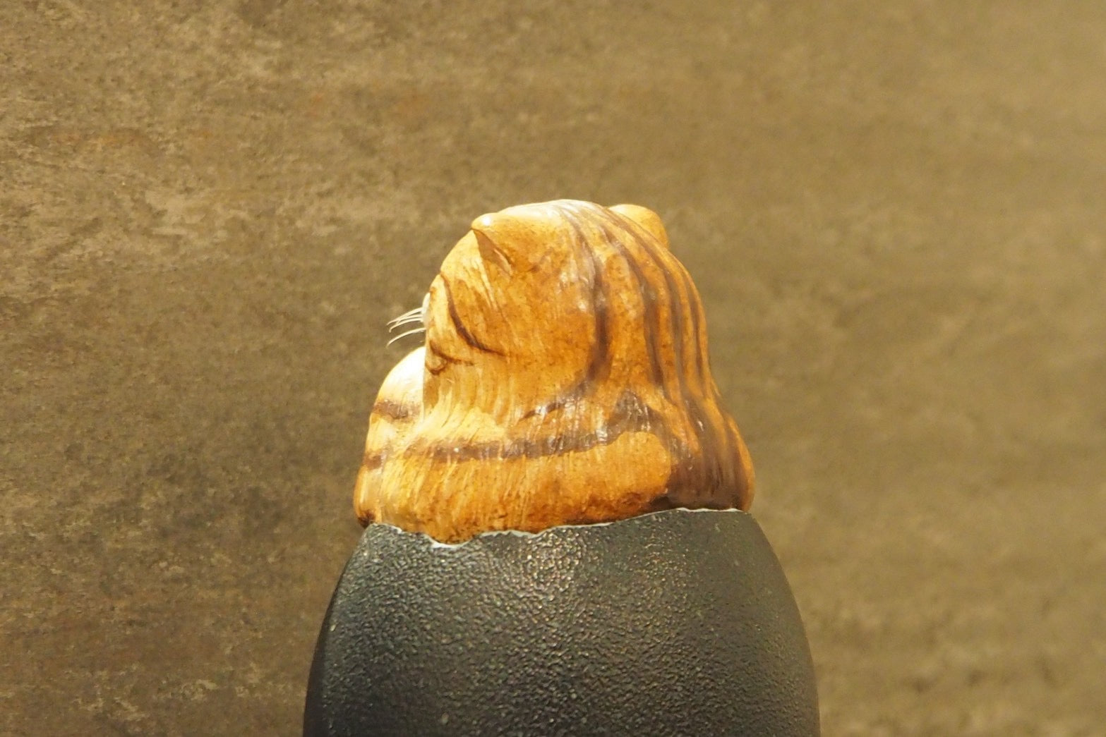 Hatching Cat ~茶トラ猫の誕生~