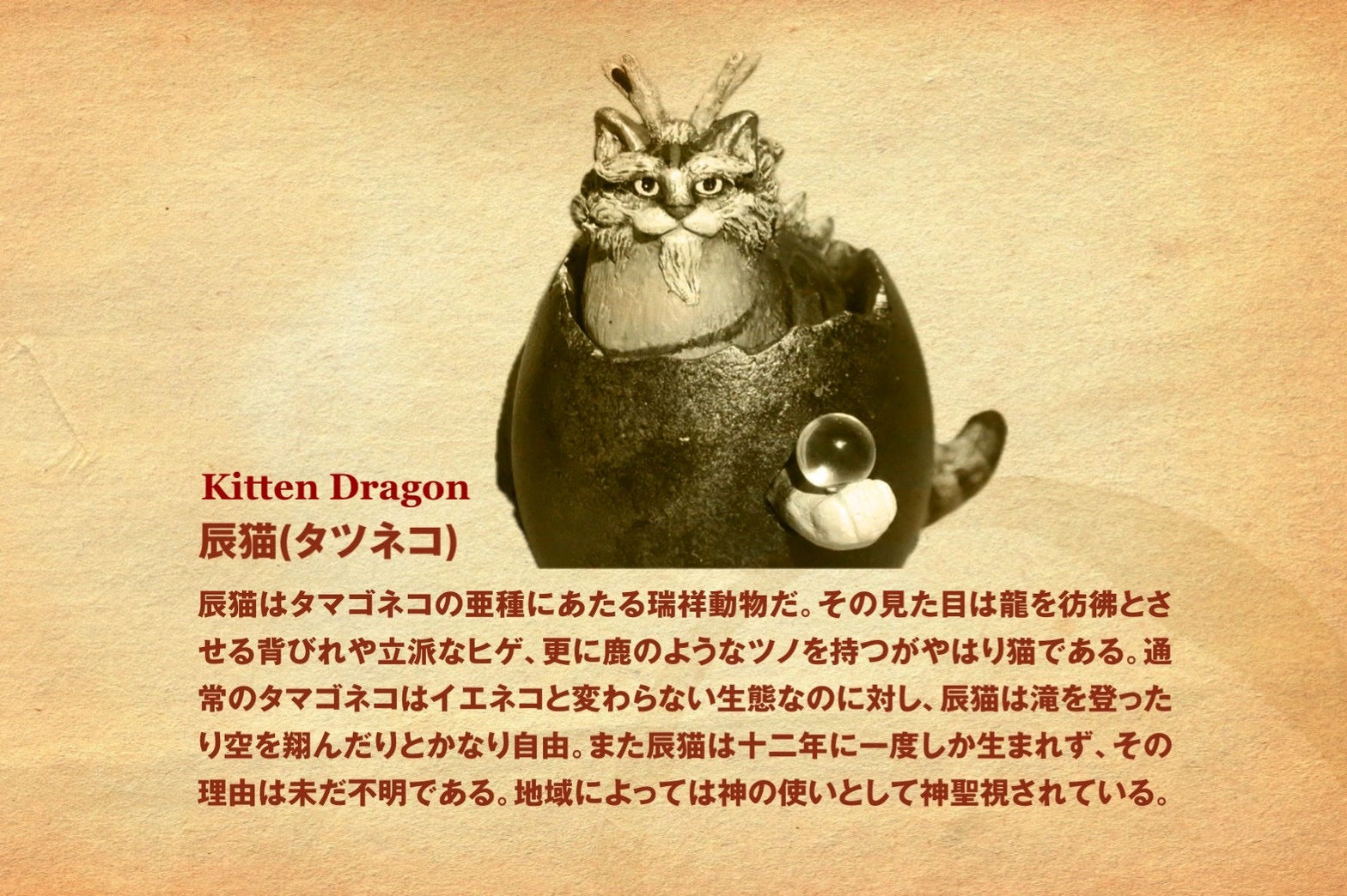 Kitten Dragon ~辰猫(茶トラ)~