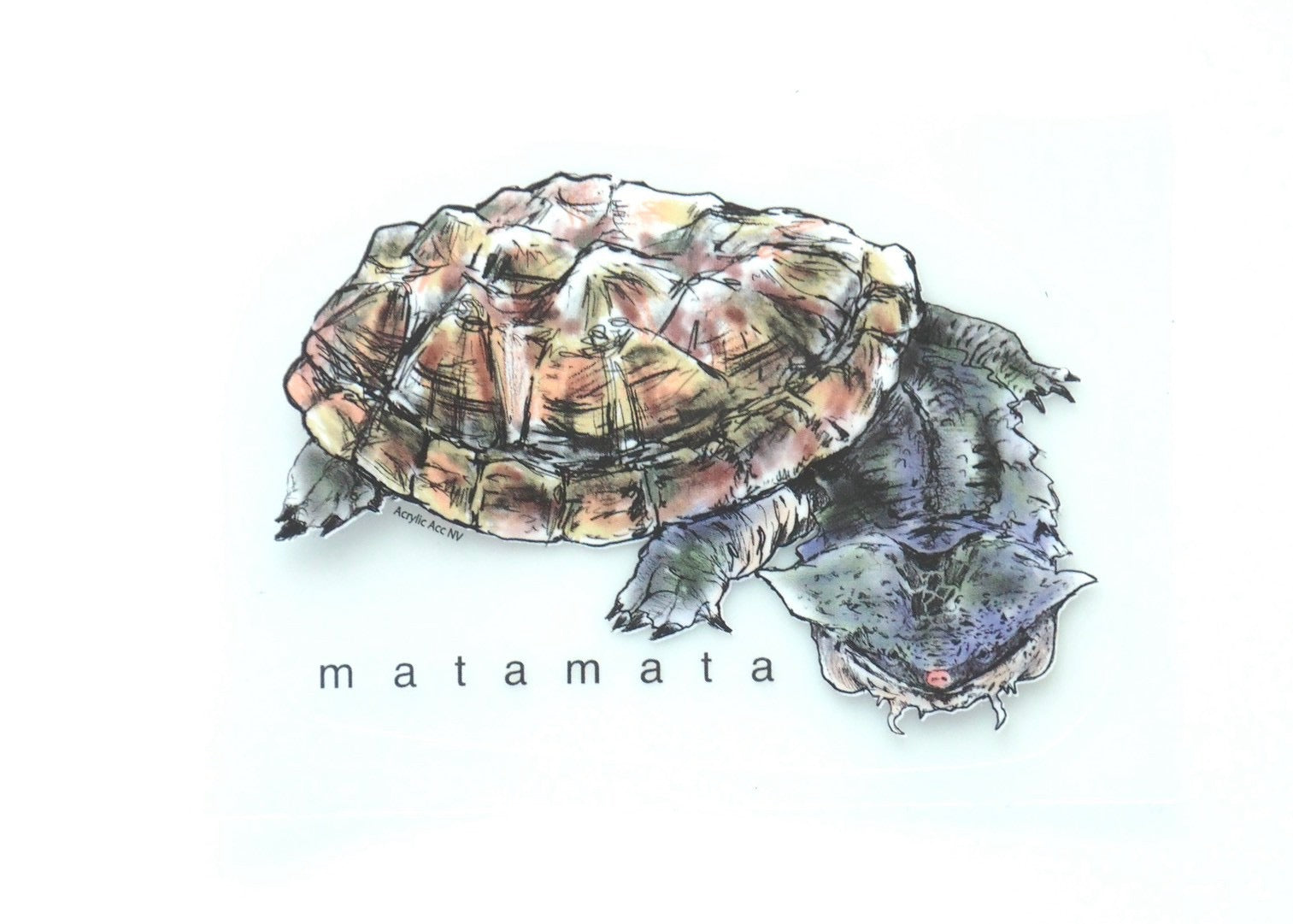 matamataステッカー
