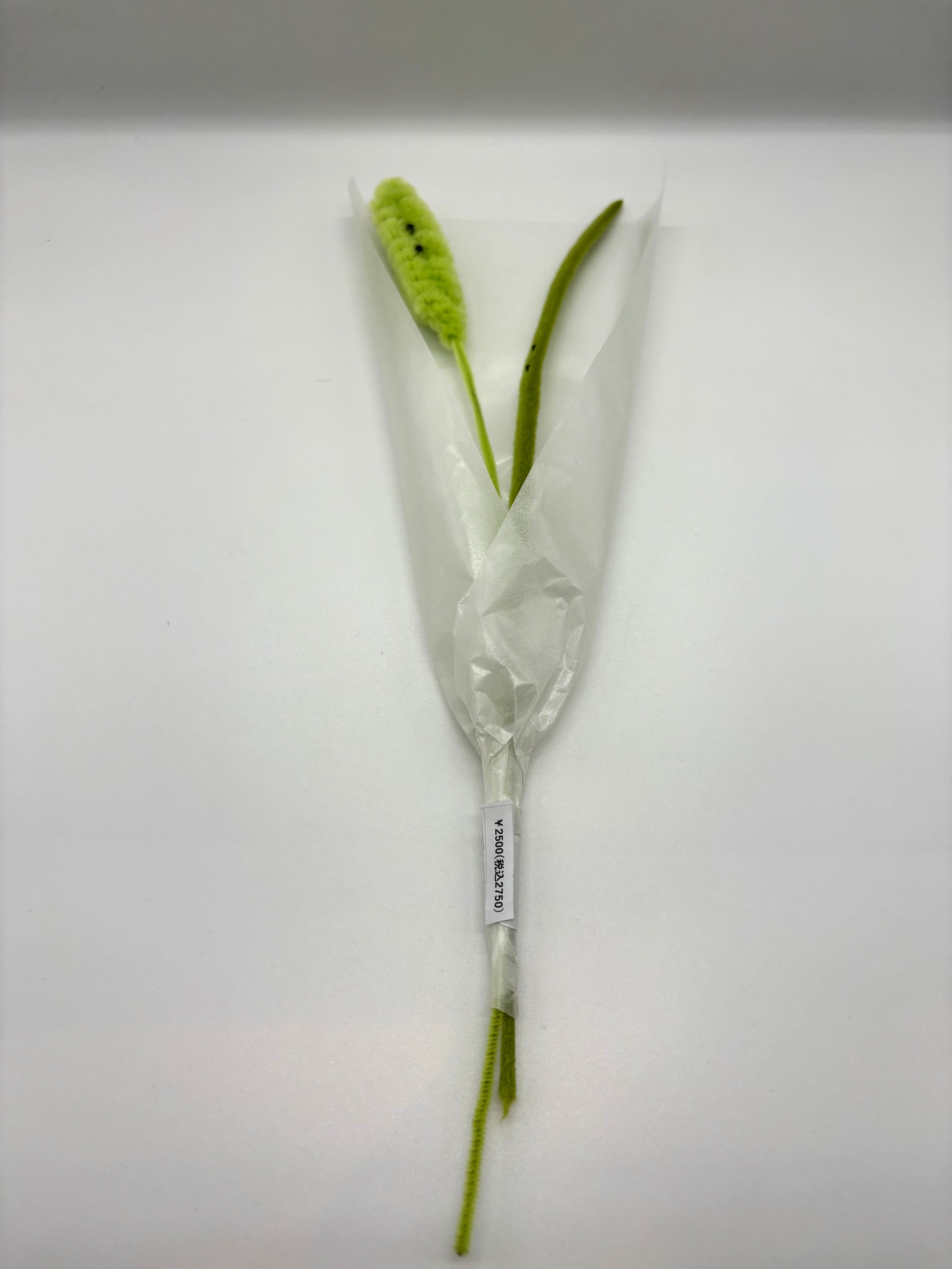 ただの草のぬいぐるみブーケ（ねこじゃらし・葉）