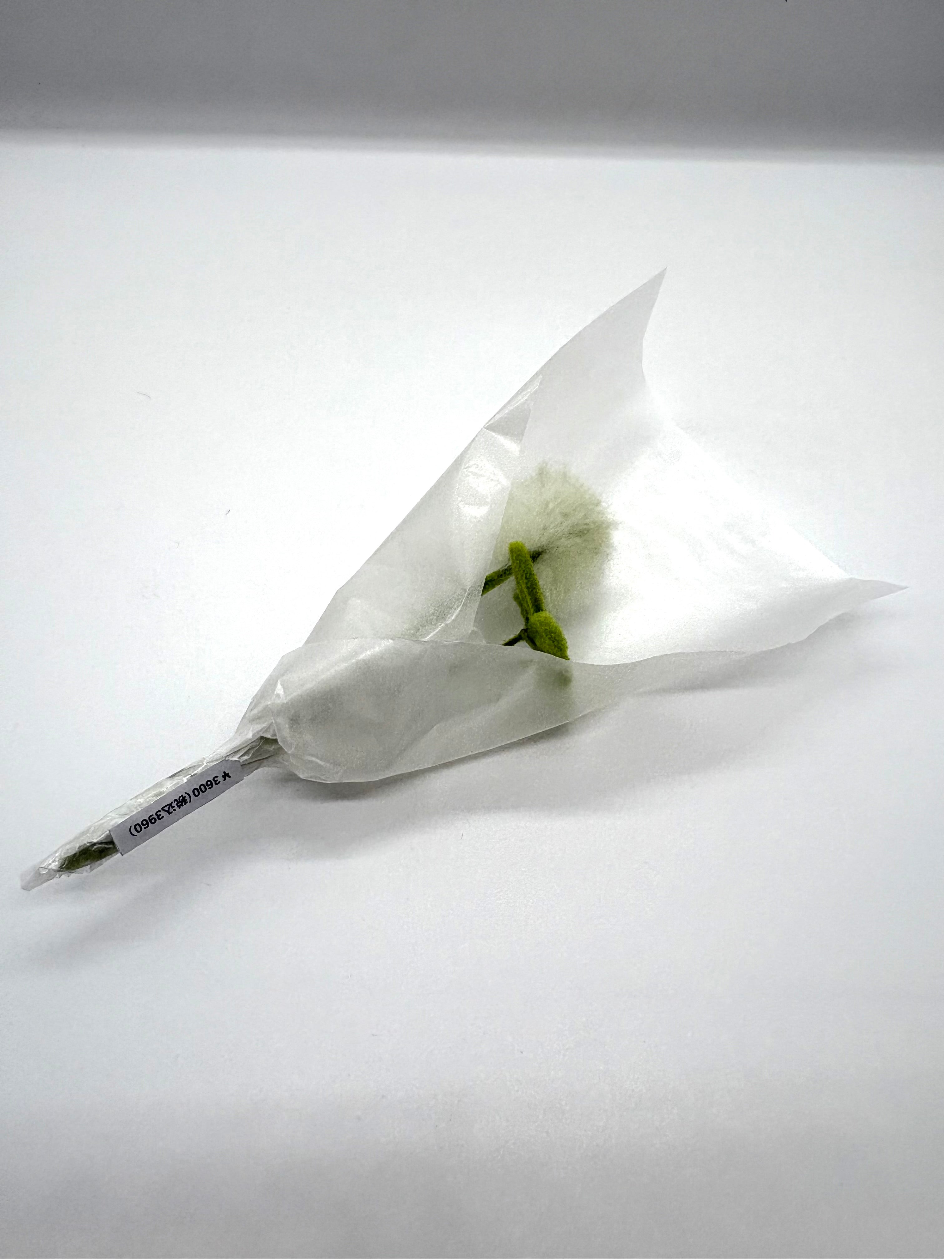 ただの草のぬいぐるみブーケ③（シロツメ花・シロツメ葉）