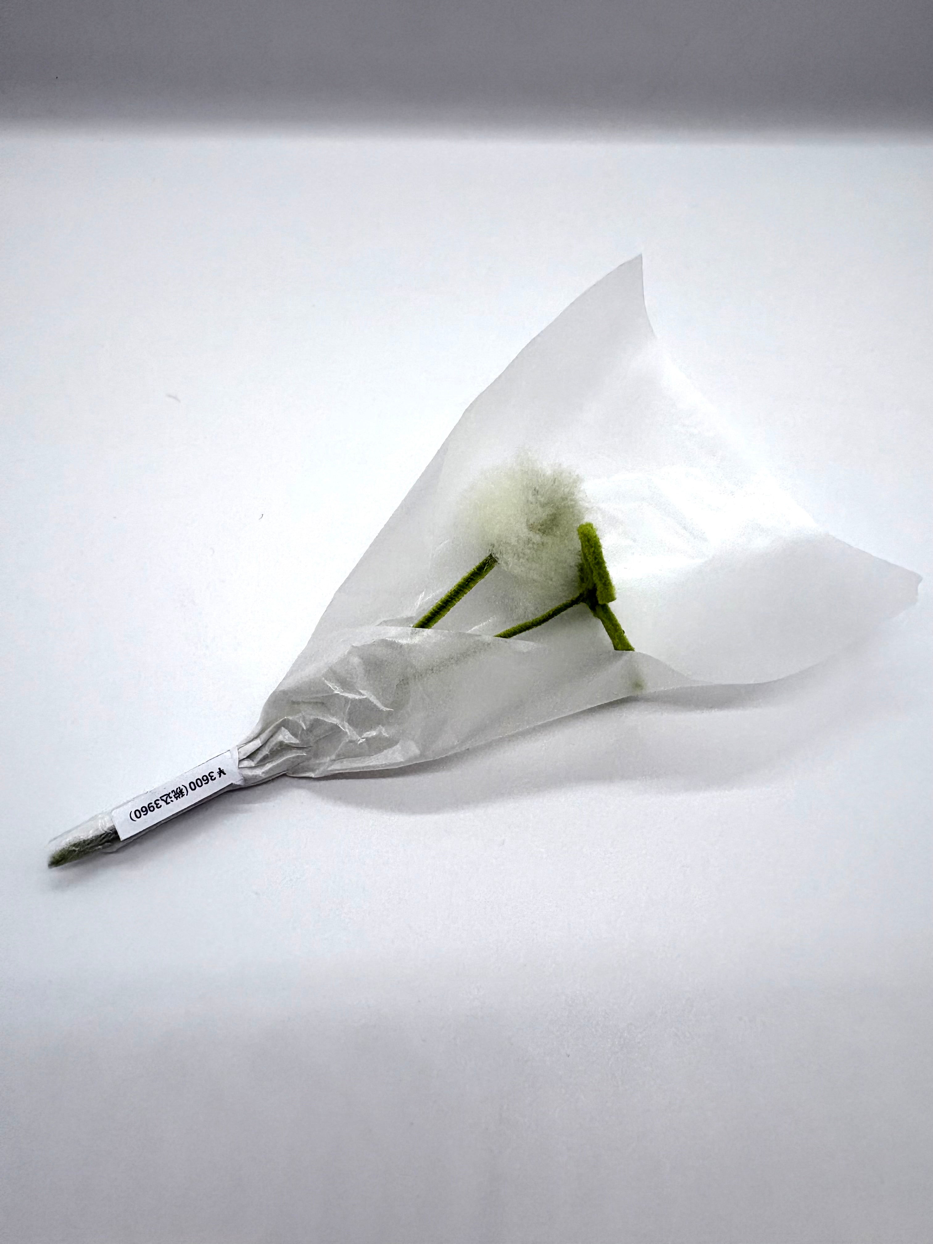 ただの草のぬいぐるみブーケ⑤（シロツメ花・シロツメ葉）