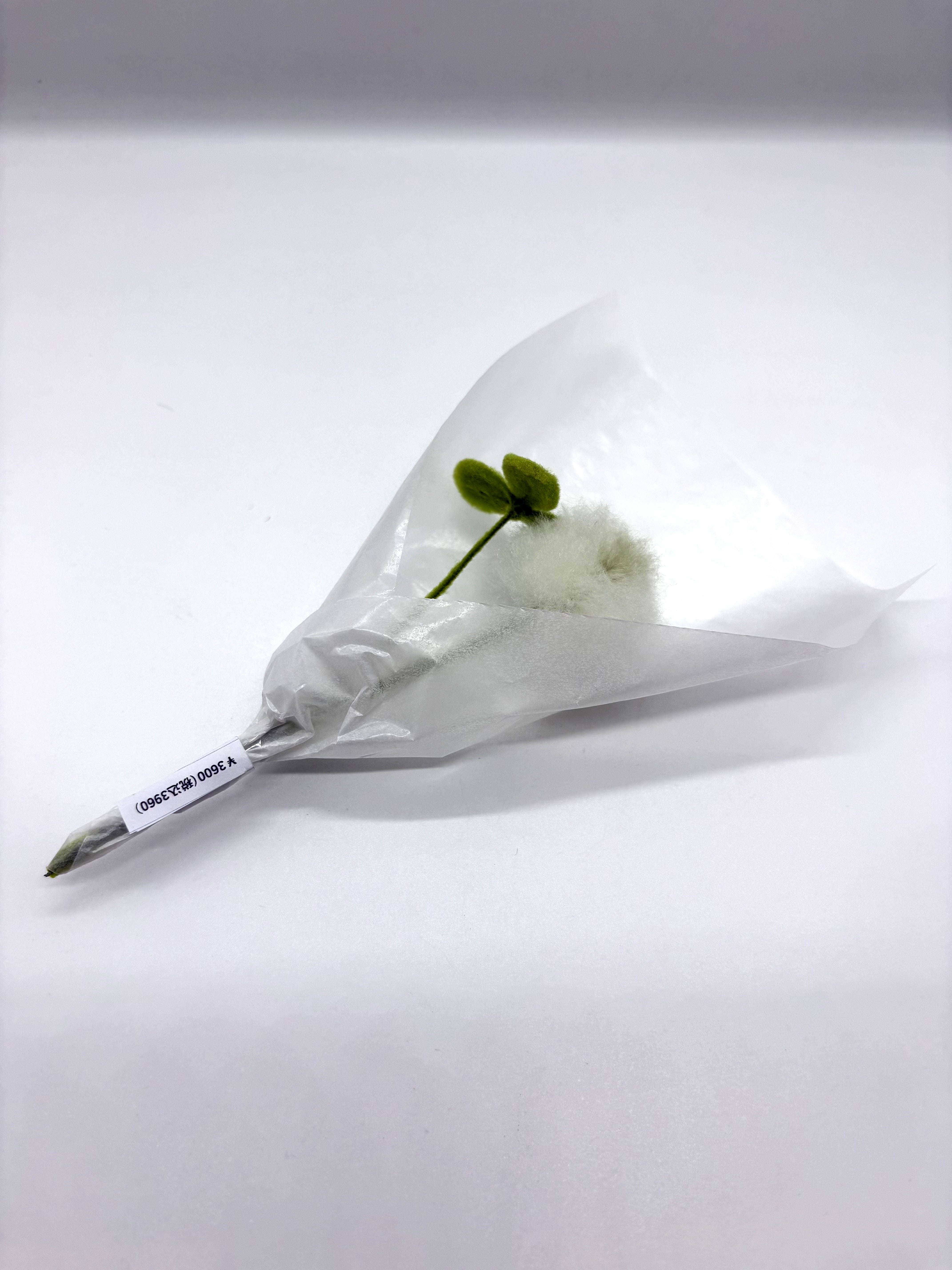 ただの草のぬいぐるみブーケ⑥（シロツメ花・シロツメ葉）