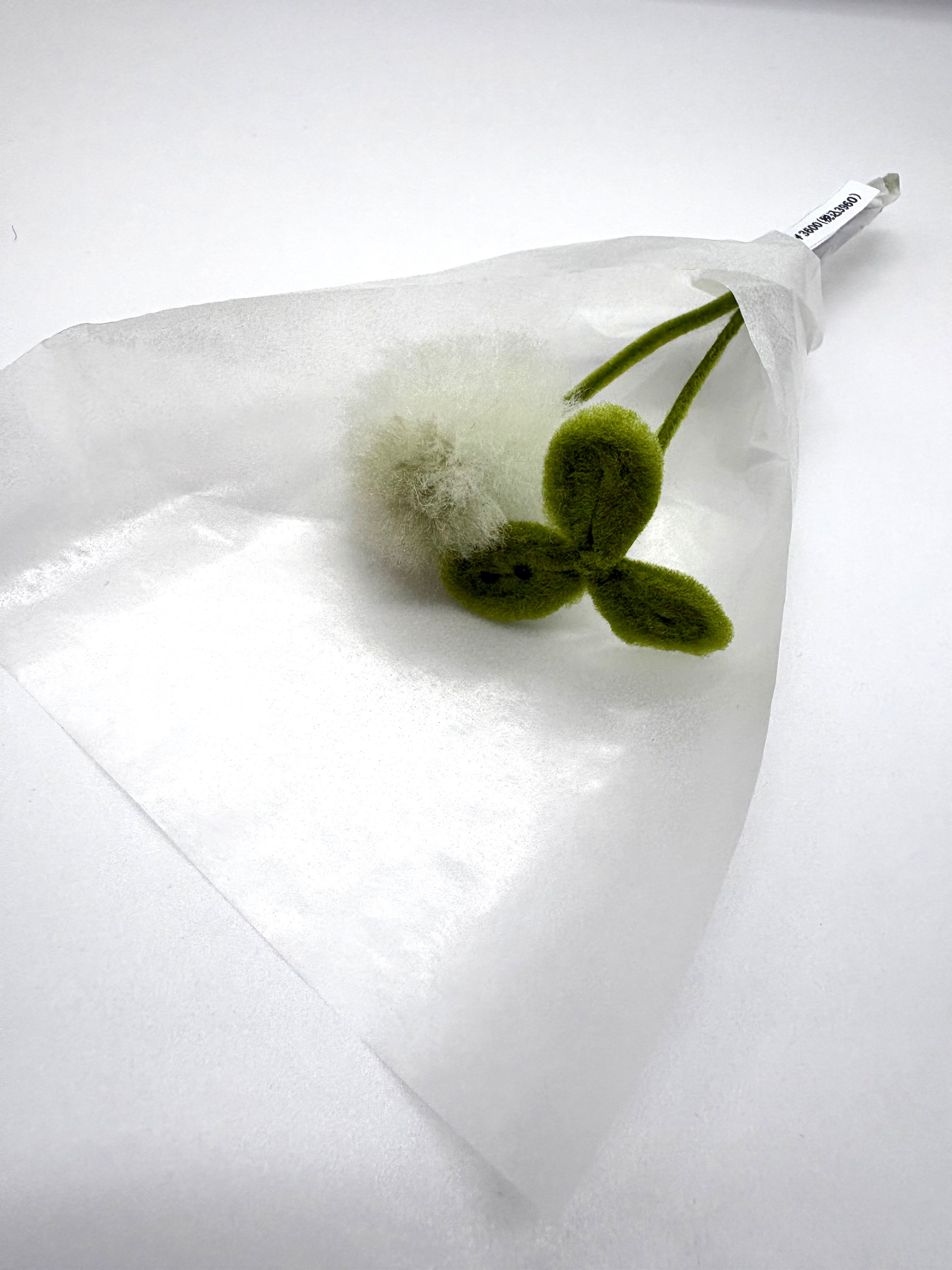 ただの草のぬいぐるみブーケ⑥（シロツメ花・シロツメ葉）