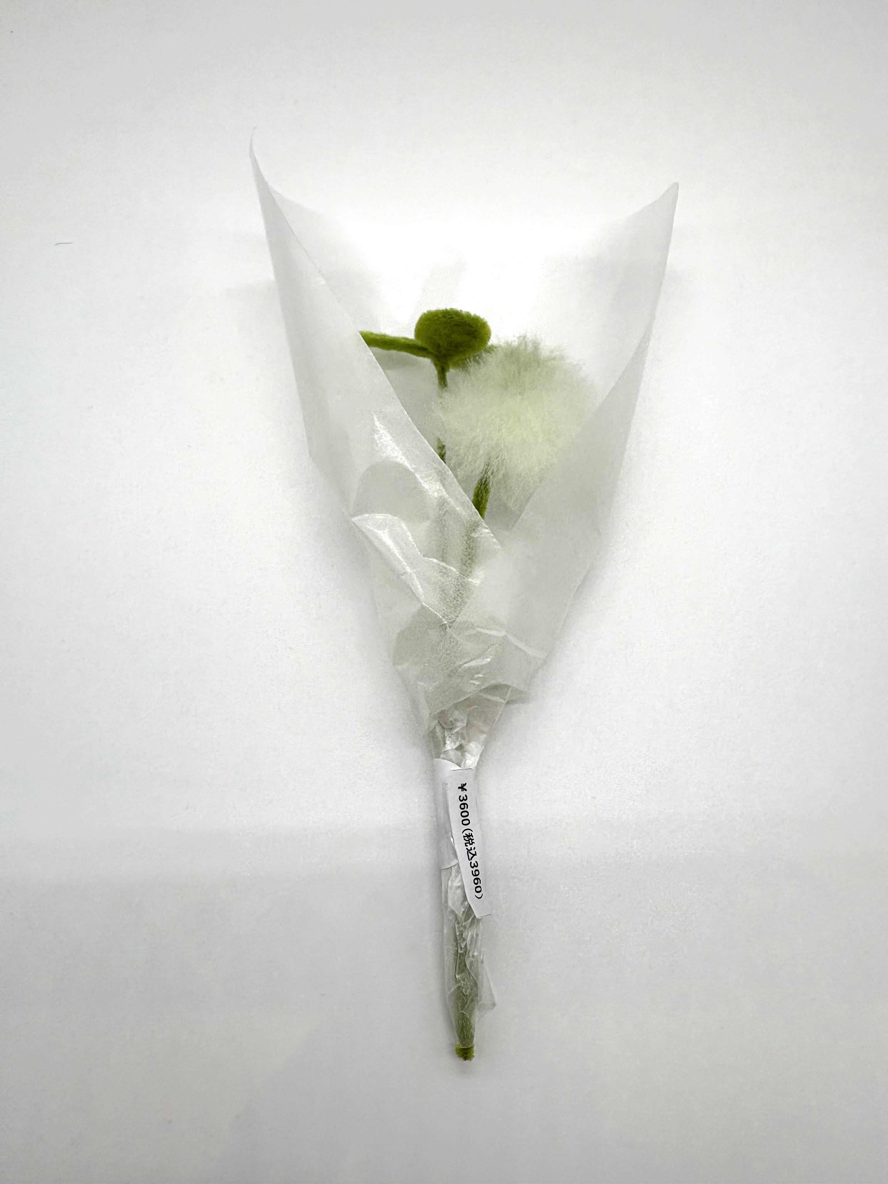 ただの草のぬいぐるみブーケ⑦（シロツメ花・シロツメ葉）