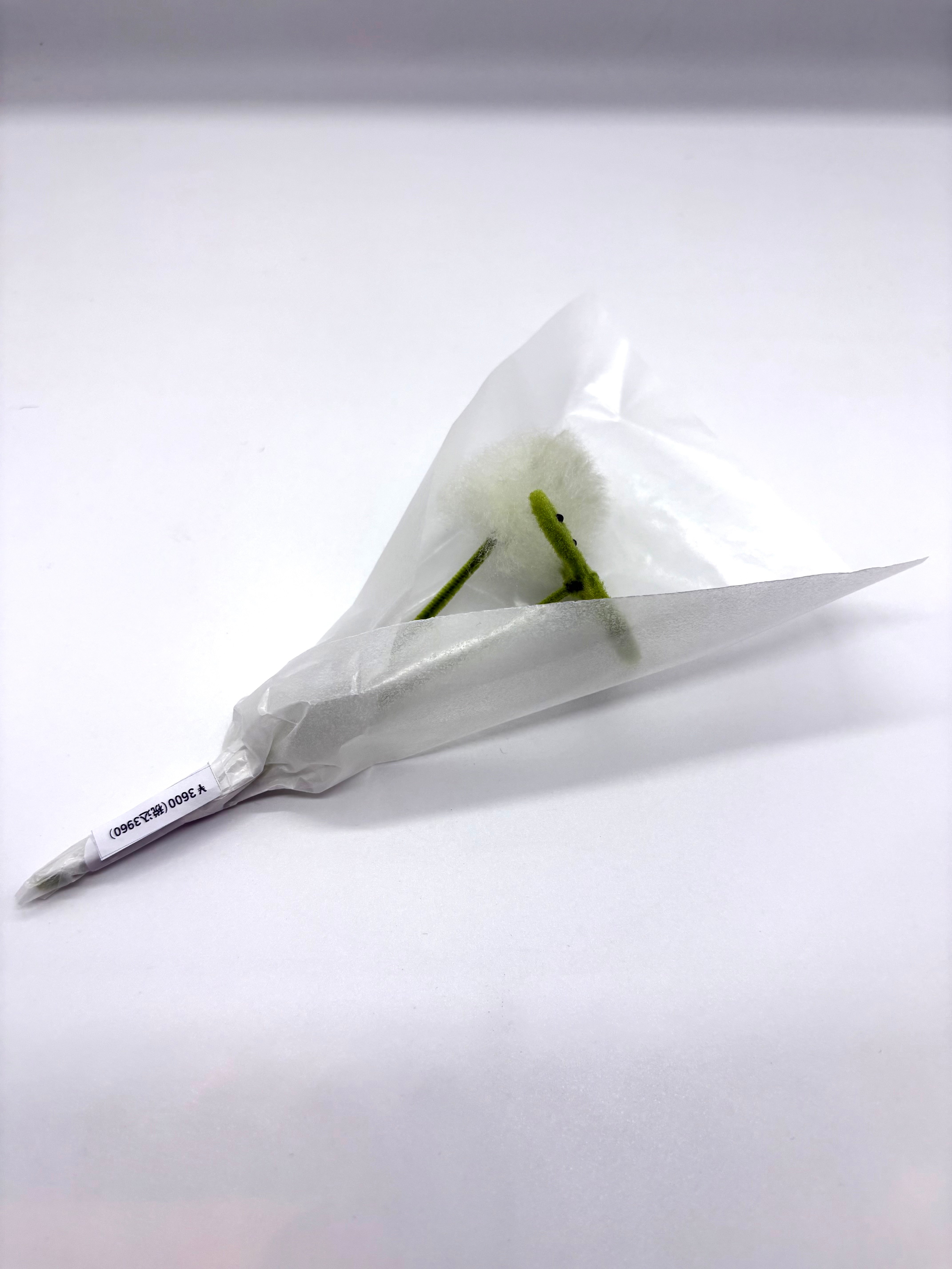 ただの草のぬいぐるみブーケ⑧（シロツメ花・シロツメ葉）
