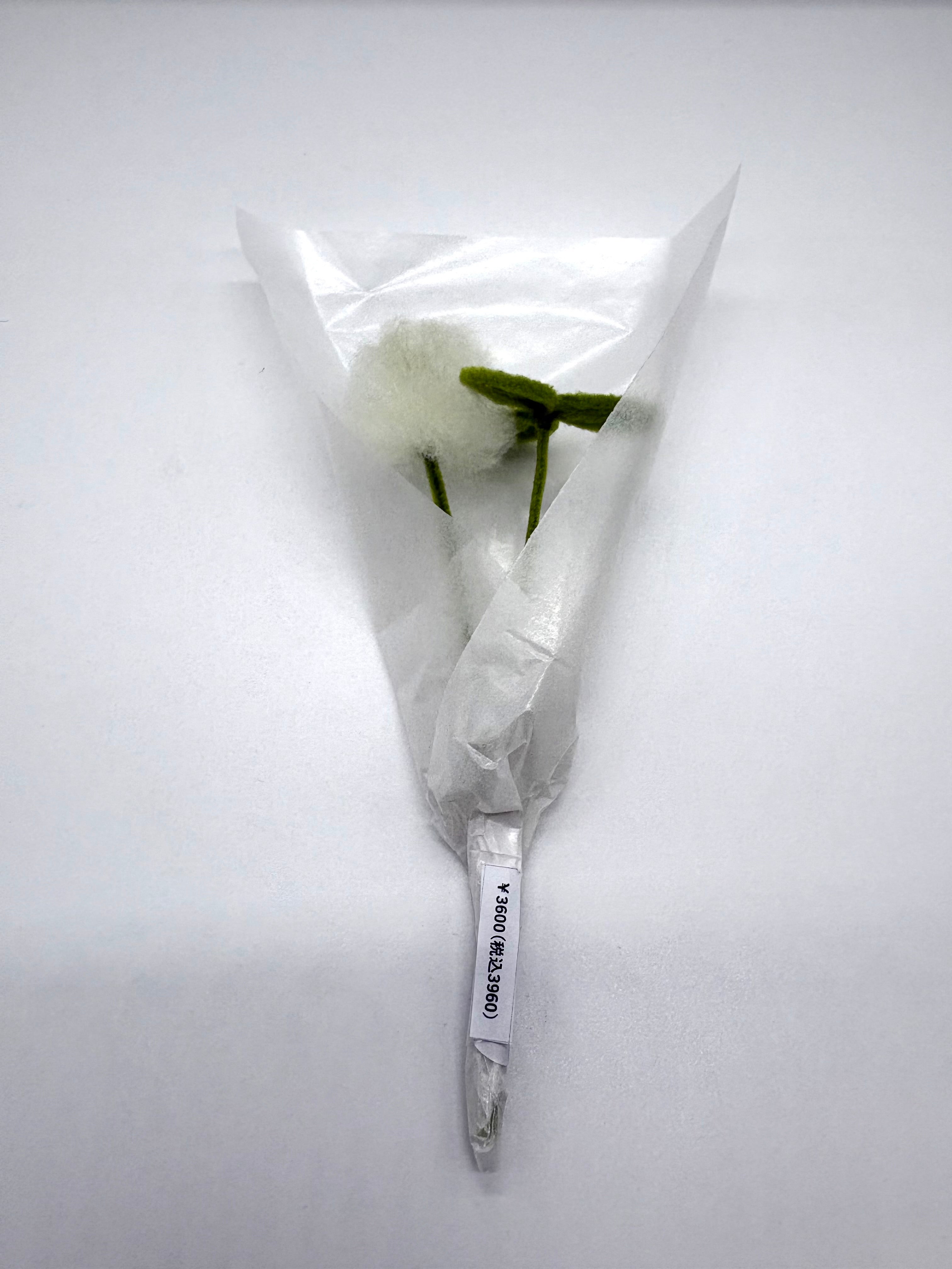 ただの草のぬいぐるみブーケ⑧（シロツメ花・シロツメ葉）